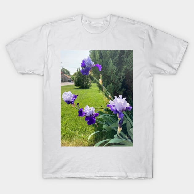 Irises and Evergreens T-Shirt by Amanda1775